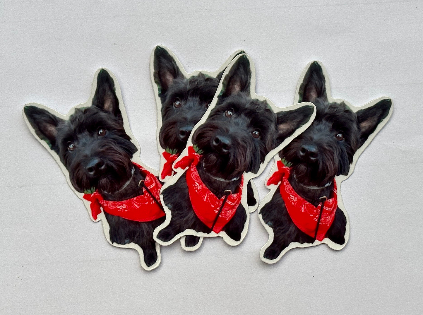 3x3in Custom Animal Friend 