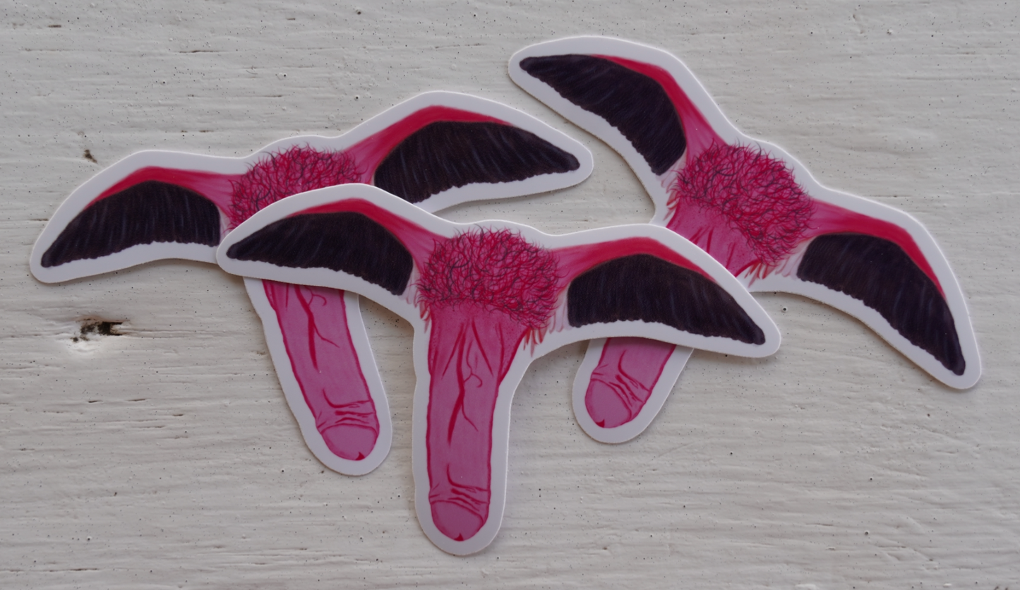 Pink Flamingo Schlong