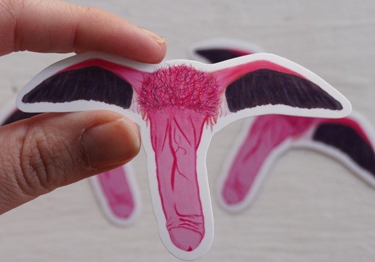 Pink Flamingo Schlong